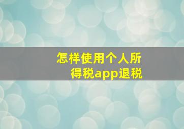 怎样使用个人所得税app退税