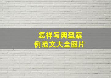 怎样写典型案例范文大全图片