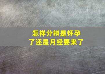 怎样分辨是怀孕了还是月经要来了