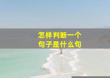 怎样判断一个句子是什么句