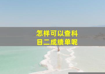 怎样可以查科目二成绩单呢