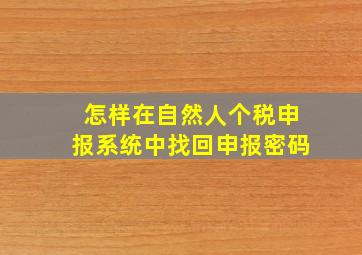 怎样在自然人个税申报系统中找回申报密码