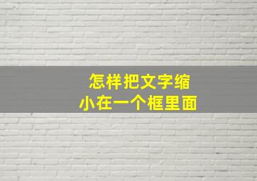 怎样把文字缩小在一个框里面