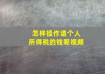 怎样操作退个人所得税的钱呢视频