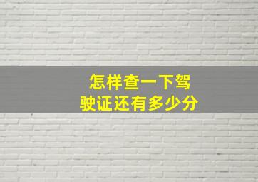 怎样查一下驾驶证还有多少分