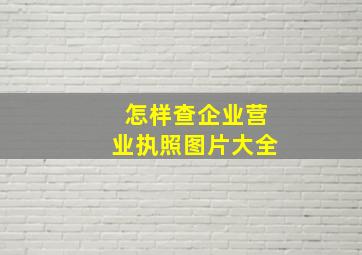 怎样查企业营业执照图片大全