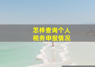 怎样查询个人税务申报情况