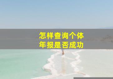 怎样查询个体年报是否成功