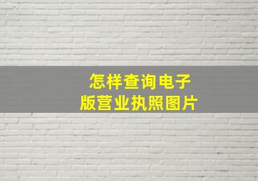 怎样查询电子版营业执照图片