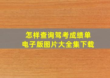 怎样查询驾考成绩单电子版图片大全集下载