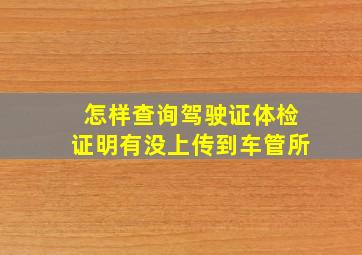 怎样查询驾驶证体检证明有没上传到车管所