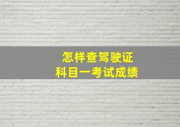 怎样查驾驶证科目一考试成绩