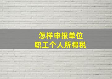 怎样申报单位职工个人所得税