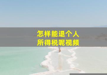 怎样能退个人所得税呢视频