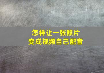 怎样让一张照片变成视频自己配音