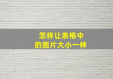 怎样让表格中的图片大小一样