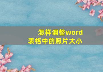 怎样调整word表格中的照片大小