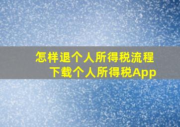 怎样退个人所得税流程下载个人所得税App