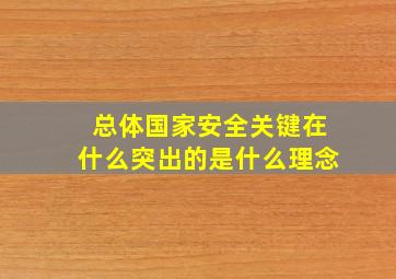 总体国家安全关键在什么突出的是什么理念