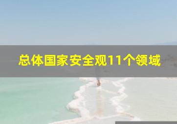 总体国家安全观11个领域