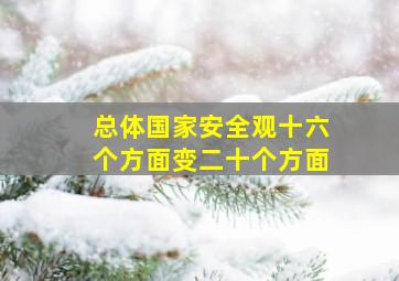 总体国家安全观十六个方面变二十个方面