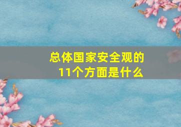 总体国家安全观的11个方面是什么