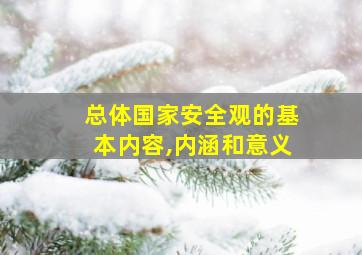 总体国家安全观的基本内容,内涵和意义