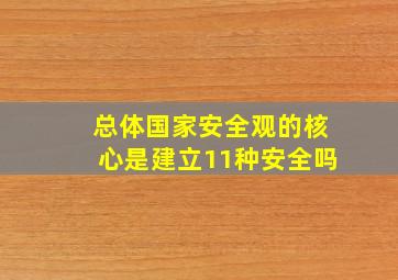 总体国家安全观的核心是建立11种安全吗