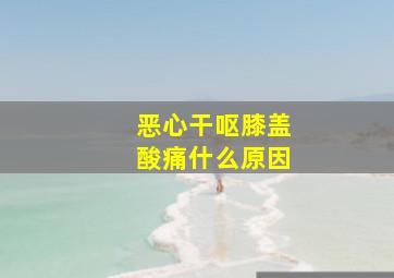 恶心干呕膝盖酸痛什么原因