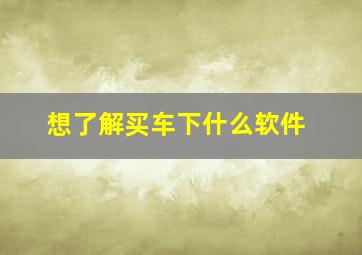 想了解买车下什么软件