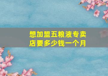 想加盟五粮液专卖店要多少钱一个月