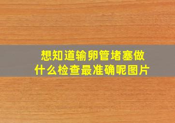 想知道输卵管堵塞做什么检查最准确呢图片