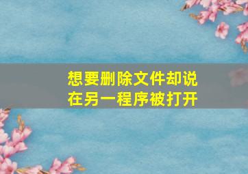 想要删除文件却说在另一程序被打开