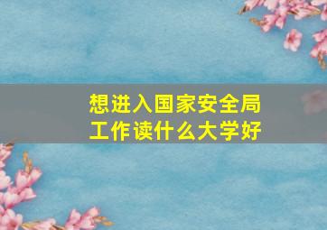 想进入国家安全局工作读什么大学好