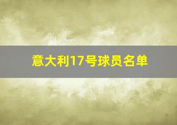 意大利17号球员名单