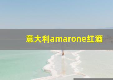 意大利amarone红酒