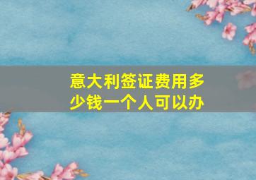 意大利签证费用多少钱一个人可以办