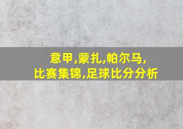 意甲,蒙扎,帕尔马,比赛集锦,足球比分分析