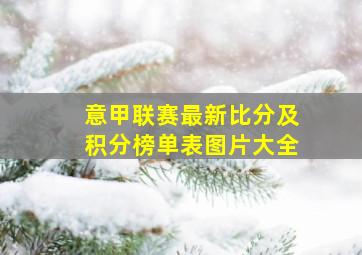 意甲联赛最新比分及积分榜单表图片大全