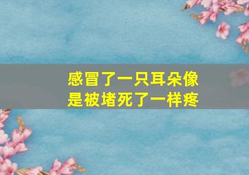 感冒了一只耳朵像是被堵死了一样疼