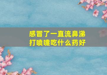 感冒了一直流鼻涕打喷嚏吃什么药好