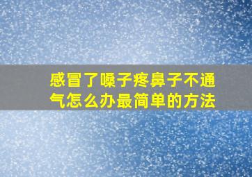 感冒了嗓子疼鼻子不通气怎么办最简单的方法