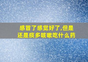 感冒了感觉好了,但是还是痰多咳嗽吃什么药