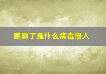 感冒了是什么病毒侵入