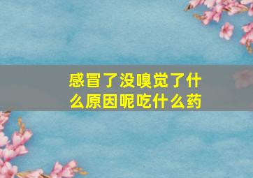 感冒了没嗅觉了什么原因呢吃什么药