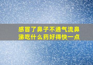 感冒了鼻子不通气流鼻涕吃什么药好得快一点