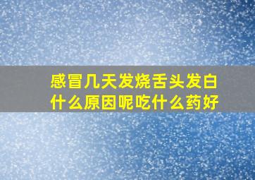 感冒几天发烧舌头发白什么原因呢吃什么药好