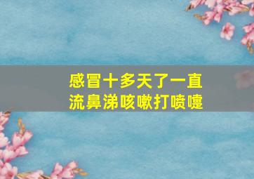 感冒十多天了一直流鼻涕咳嗽打喷嚏