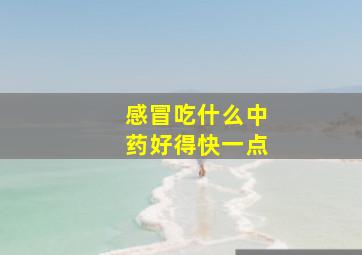 感冒吃什么中药好得快一点