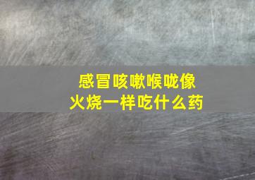 感冒咳嗽喉咙像火烧一样吃什么药